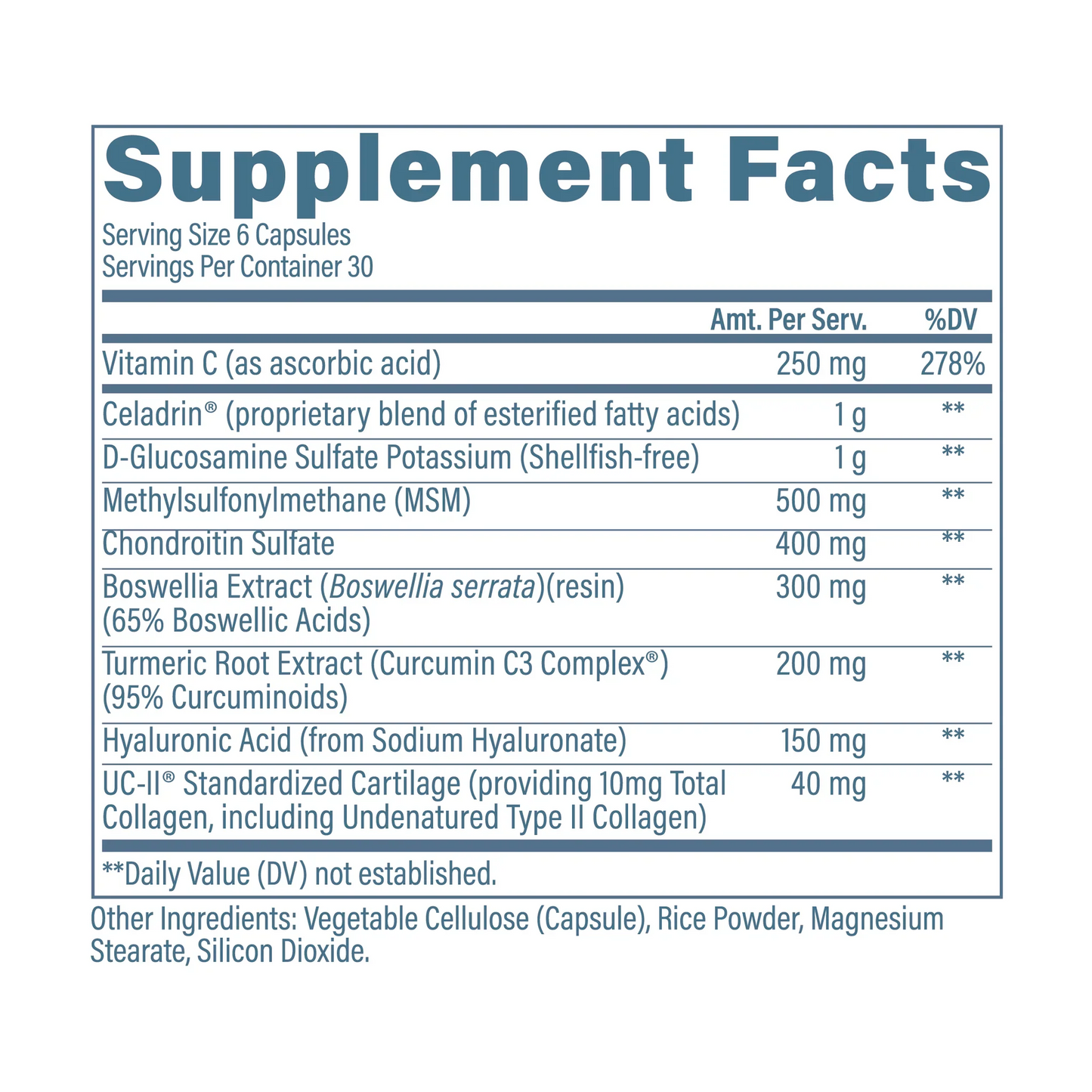 JOINT SUPPORT - ARTICULACIONES Y CARTILAGO