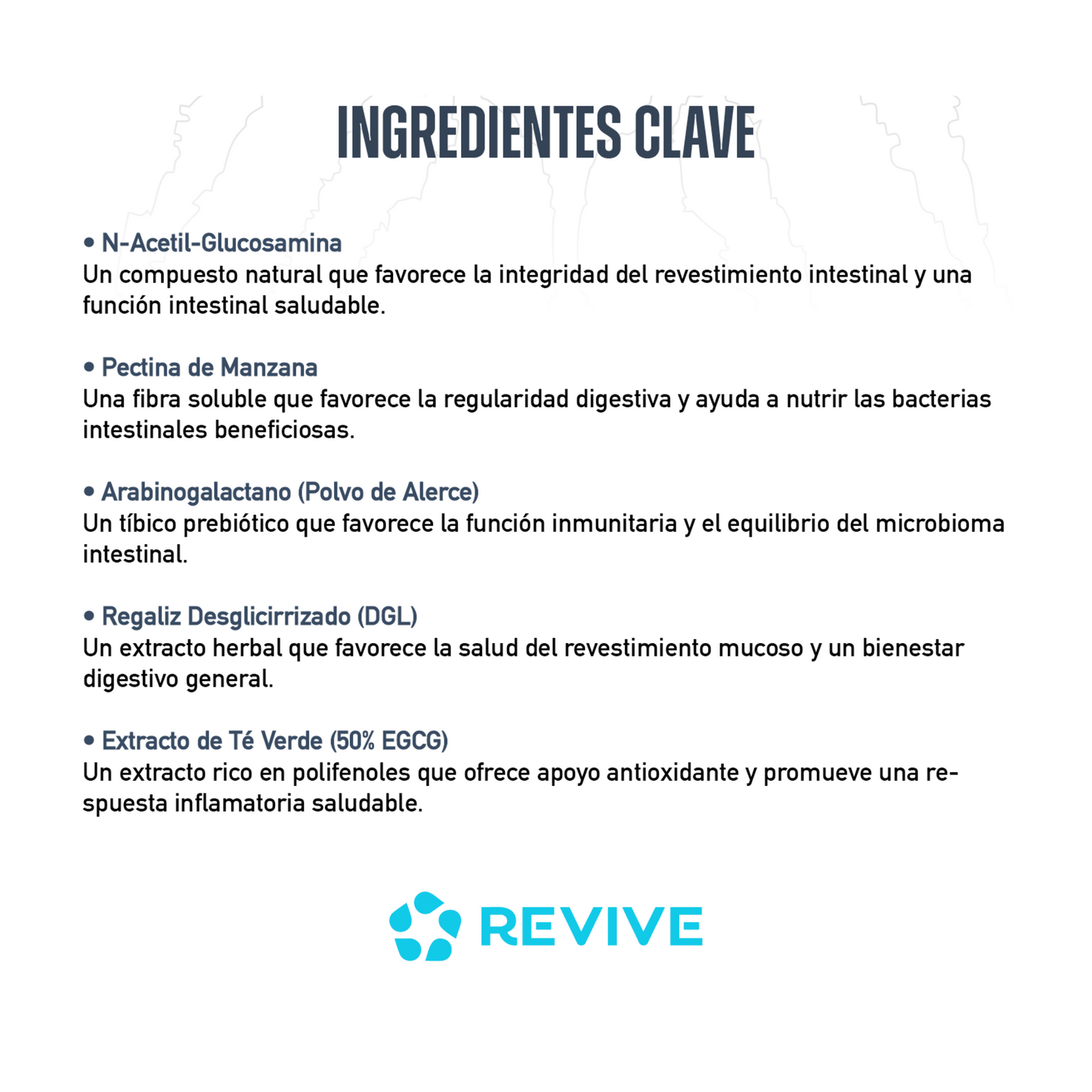 Gi+ - SALUD INTESTINAL