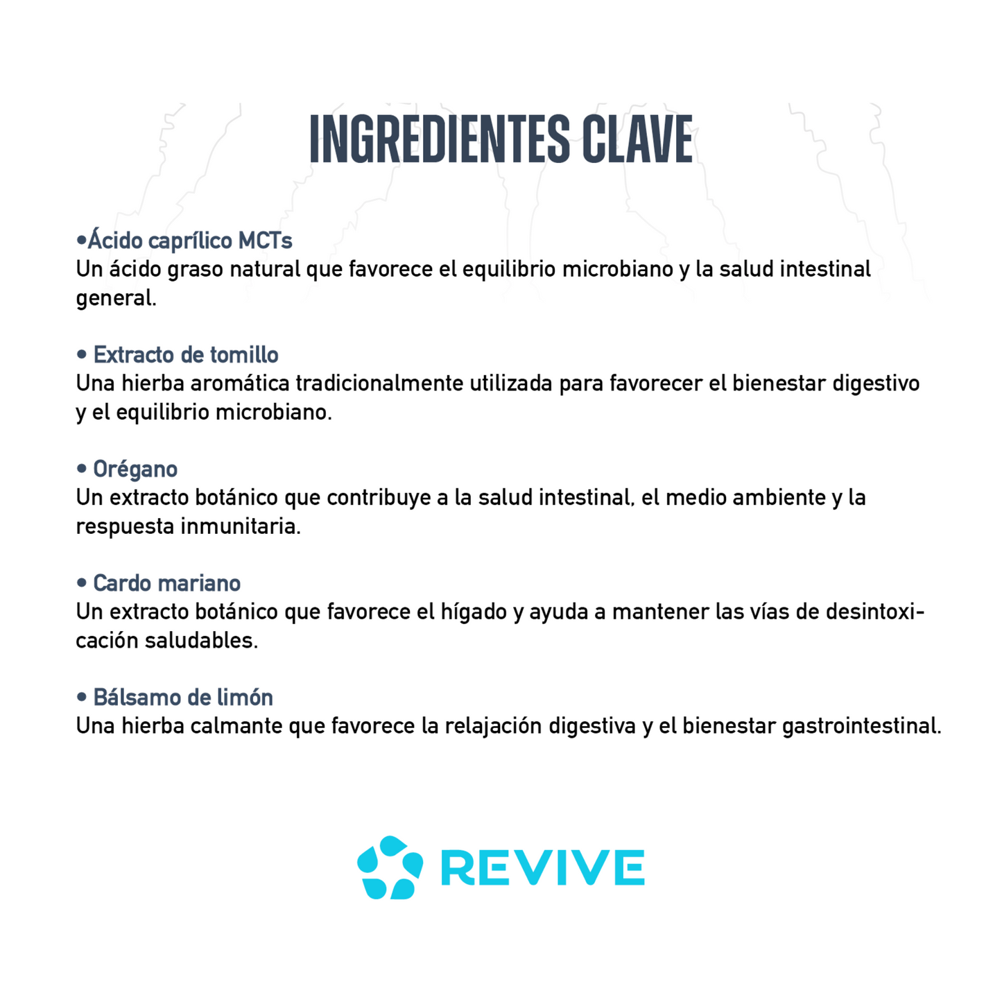 GUT HEALTH + SALUD INTESTINAL