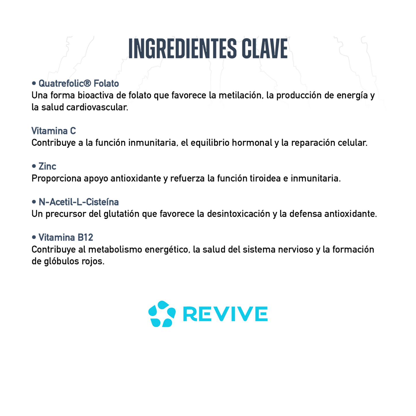 MULTIVITAMINICO + PROTECTOR HEPATICO (NAC 600mg)